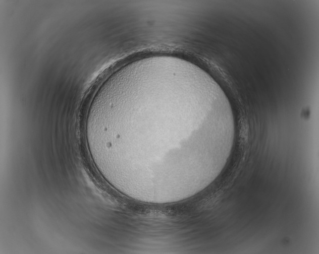X0000116110684200912211633