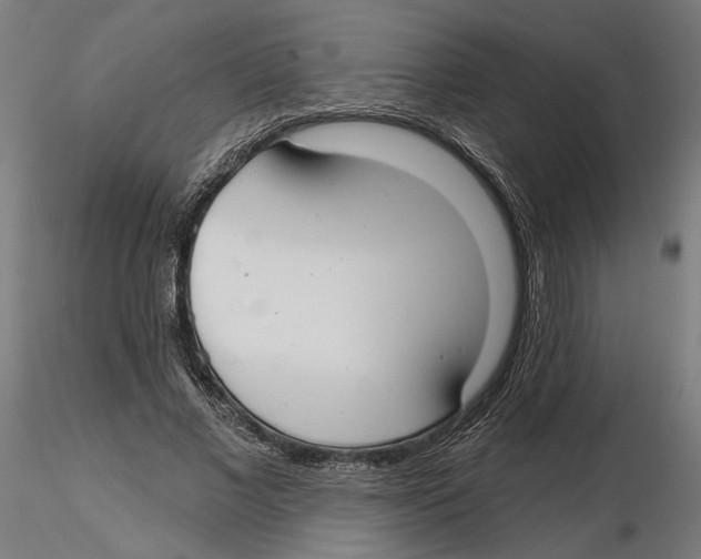 X0000116110685200912211633