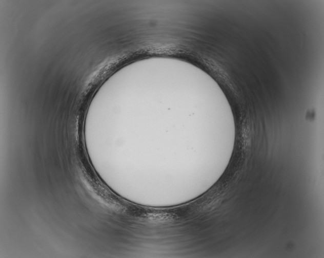 X0000116110686200912211633