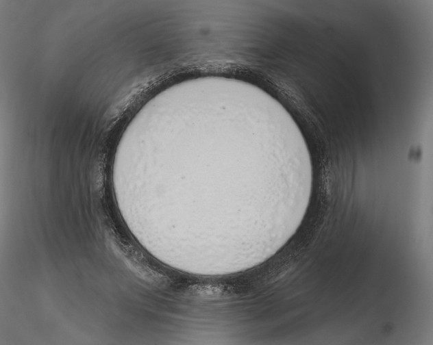 X0000116110687200912211633