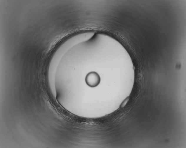 X0000116110688200912211633