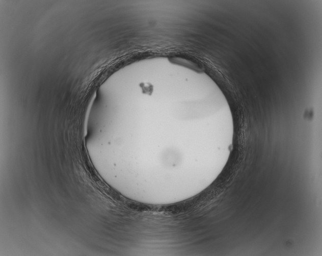 X0000116110689200912211633