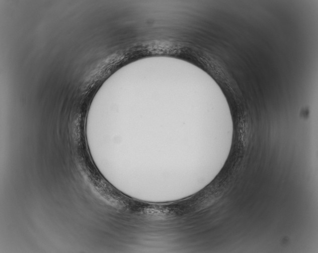 X0000116110690200912211633