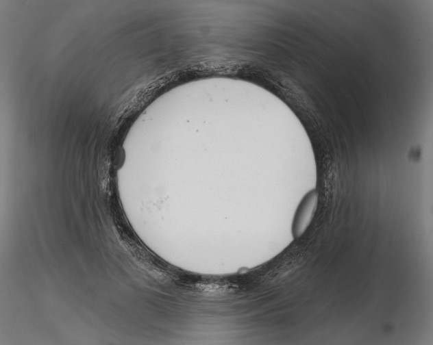 X0000116110693200912211633