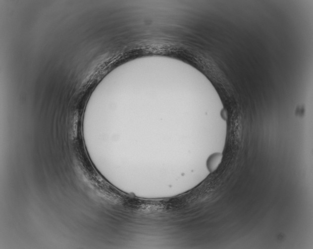 X0000116110694200912211633