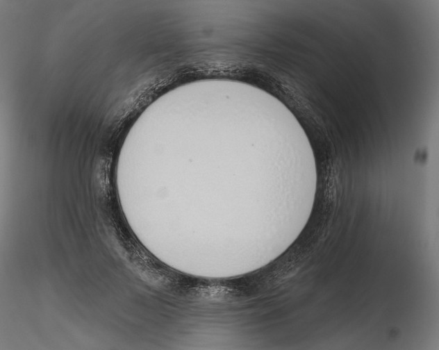 X0000116110695200912211633