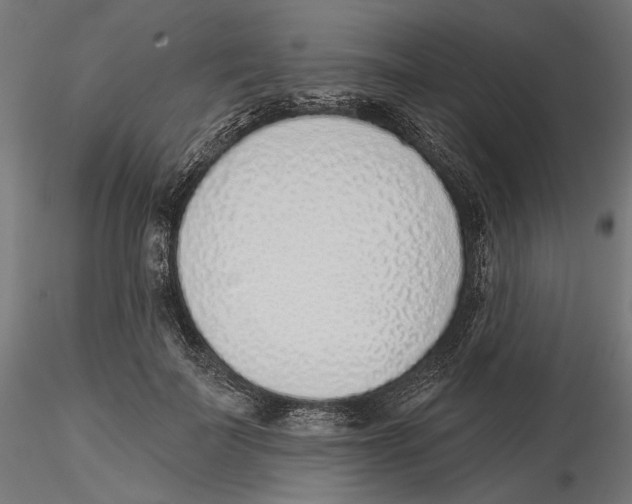 X0000116110699200912211633
