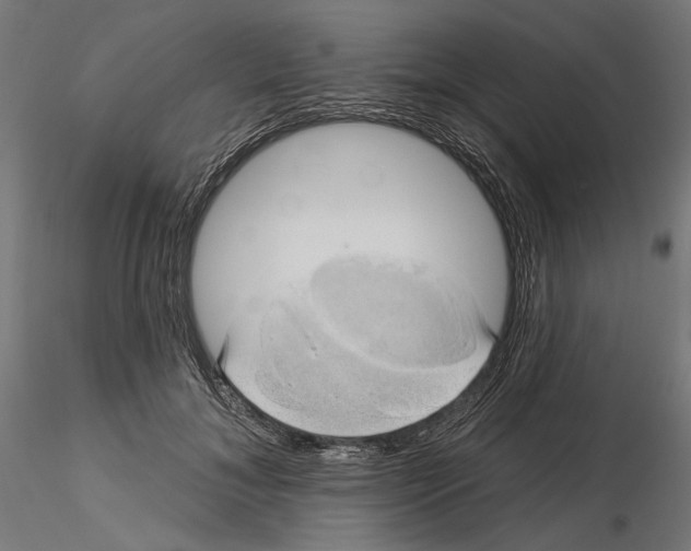 X0000116110700200912211633