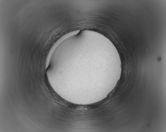 X0000116110701200912211633