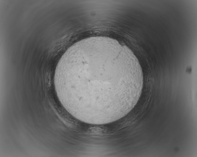 X0000116110703200912211633