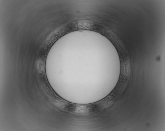 X0000116110705200912211633