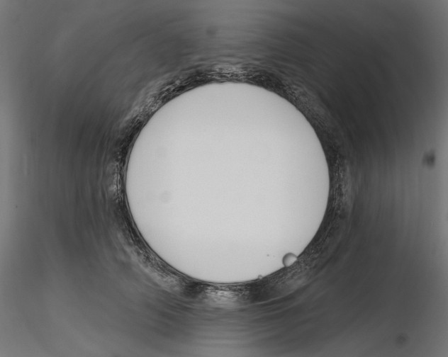 X0000116110706200912211633