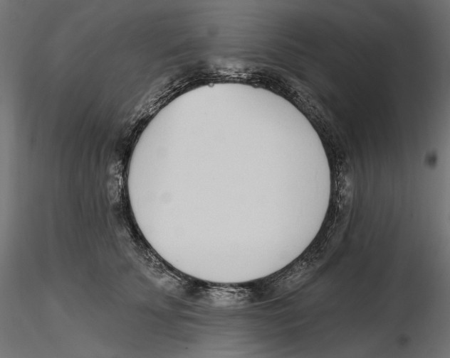X0000116110707200912211633