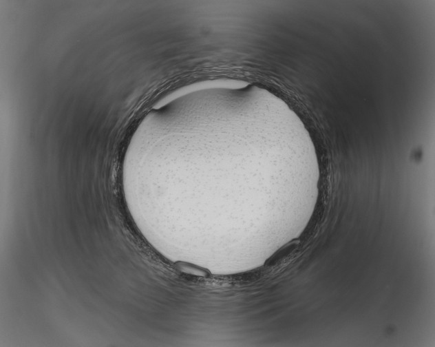 X0000116110709200912211633