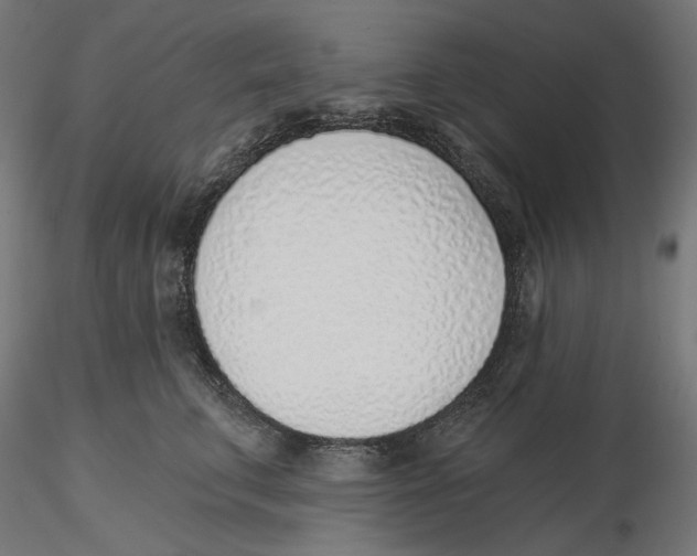 X0000116110711200912211633