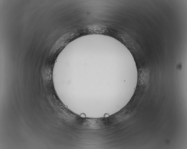 X0000116110713200912211633