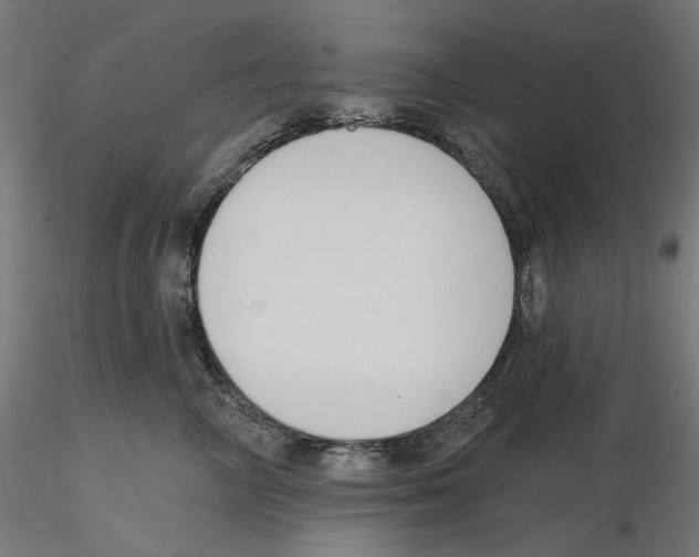 X0000116110714200912211633