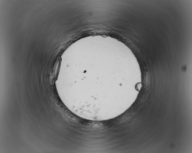 X0000116110715200912211633