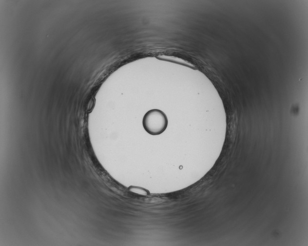 X0000116110716200912211632