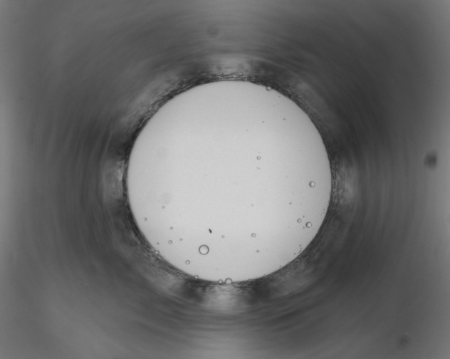 X0000116110717200912211632