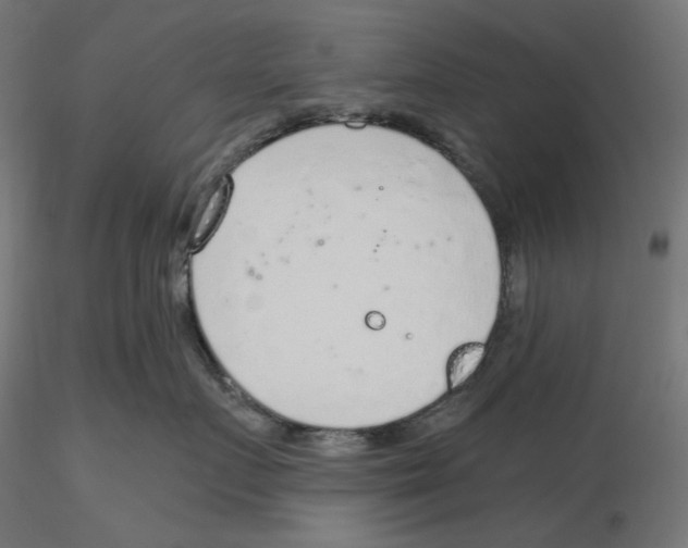 X0000116110719200912211632