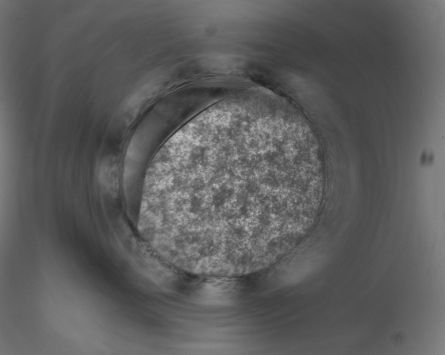 X0000116110720200912211632