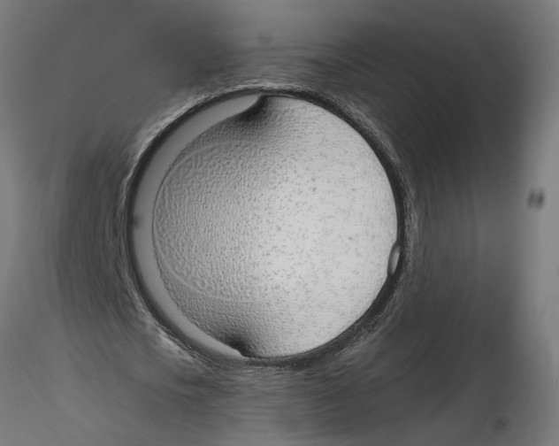 X0000116110721200912211632