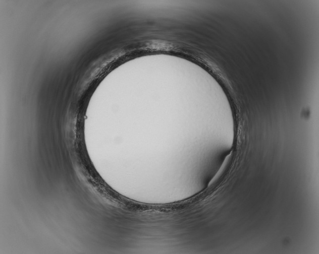 X0000116110722200912211632