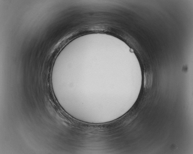 X0000116110723200912211632