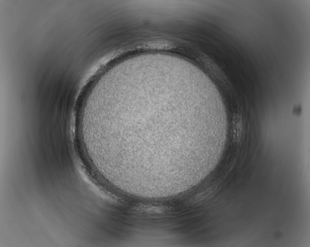 X0000116110726200912211632