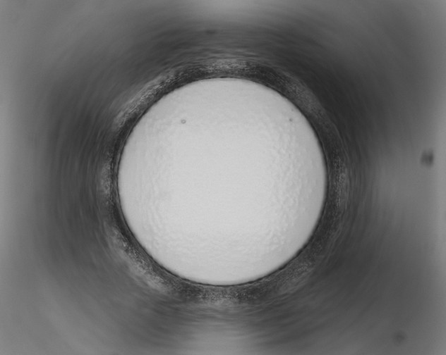 X0000116110729200912211632