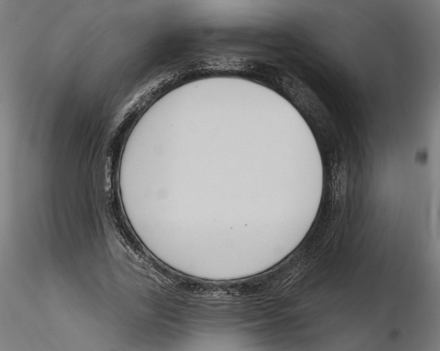 X0000116110731200912211632