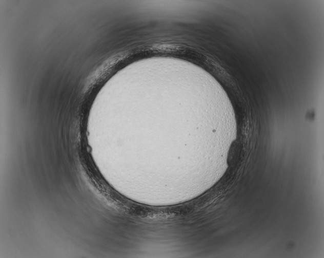 X0000116110734200912211632