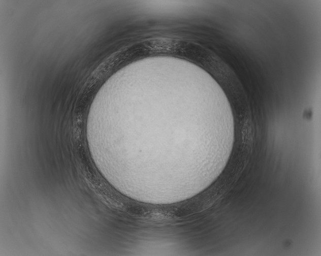 X0000116110737200912211632