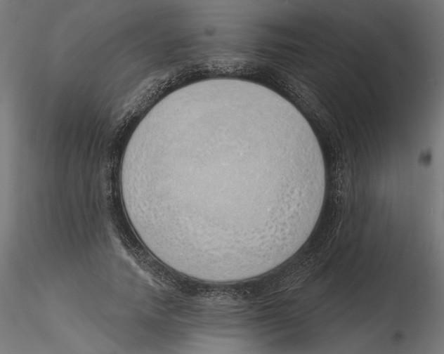 X0000116110738200912211632