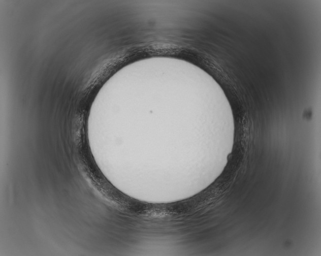 X0000116110742200912211632