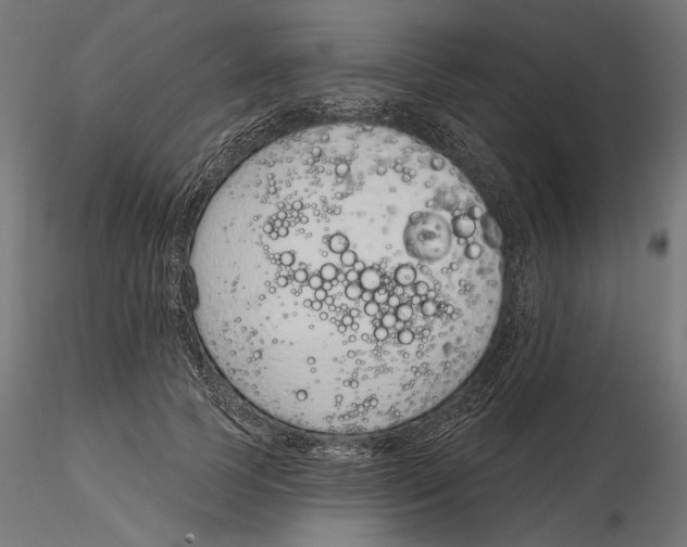 X0000116110745200912211632