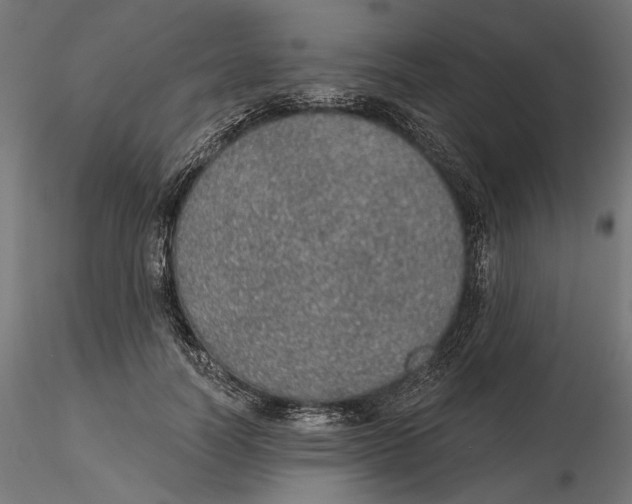 X0000116110746200912211632