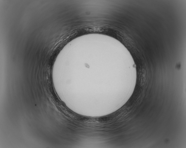 X0000116110747200912211632