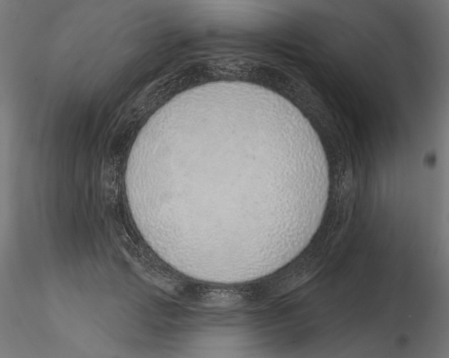 X0000116110749200912211632