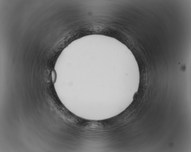 X0000116110750200912211632
