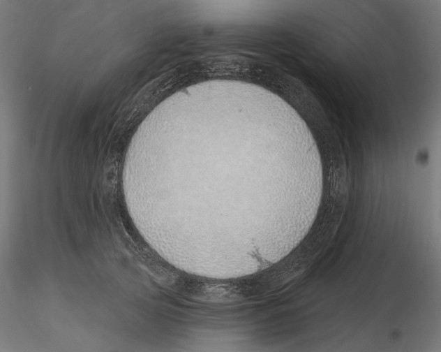 X0000116110753200912211632
