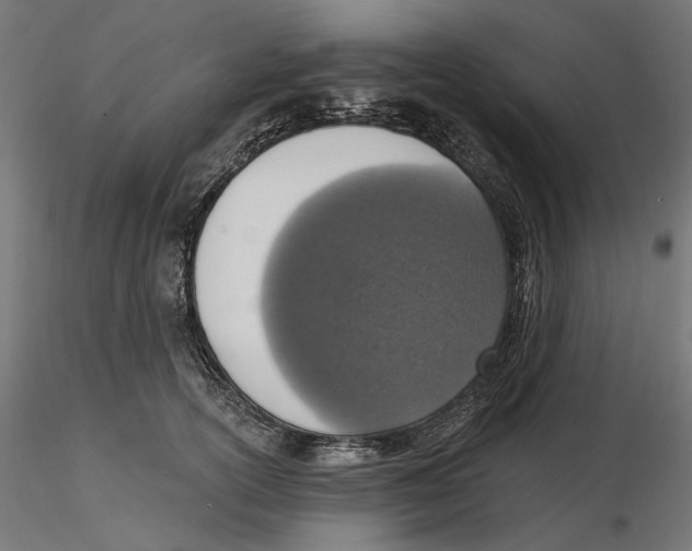X0000116110754200912211632