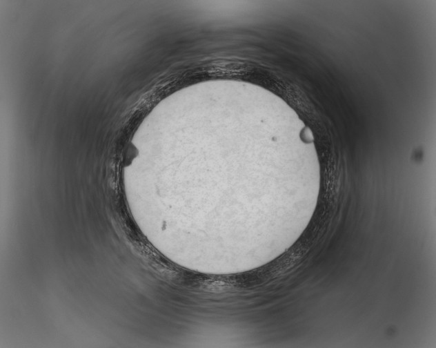 X0000116110755200912211632