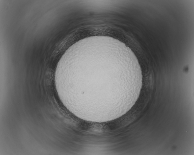 X0000116110757200912211632
