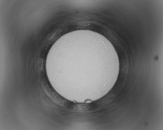 X0000116110758200912211632