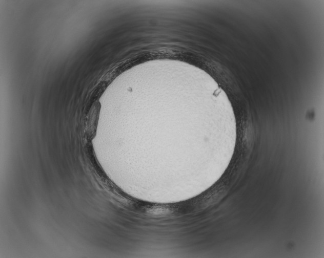 X0000116110759200912211632
