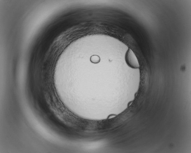 X0000116110765200912211632