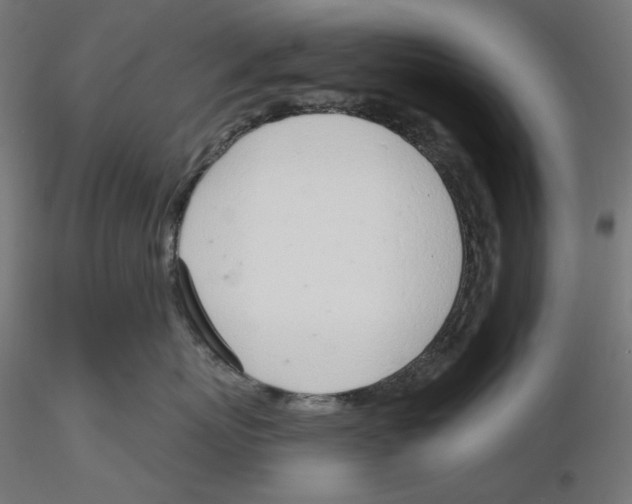 X0000116110767200912211632
