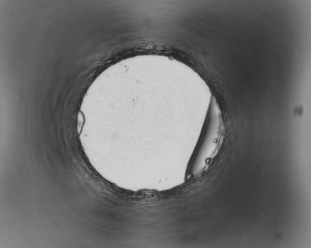 X0000116110769200912211632